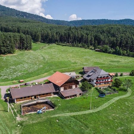 Schartnerhof Villa Collalbo Eksteriør billede