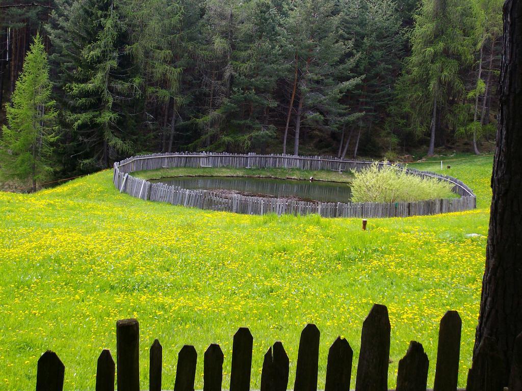 Schartnerhof Villa Collalbo Eksteriør billede